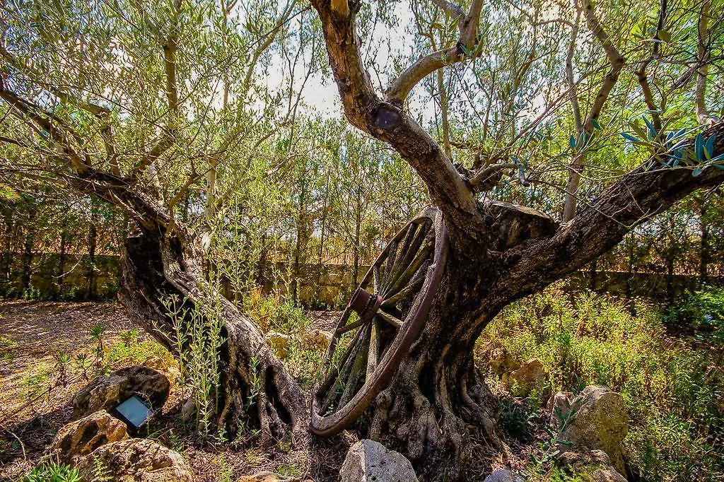 Can Pascolet Inca  Inca (Mallorca)
