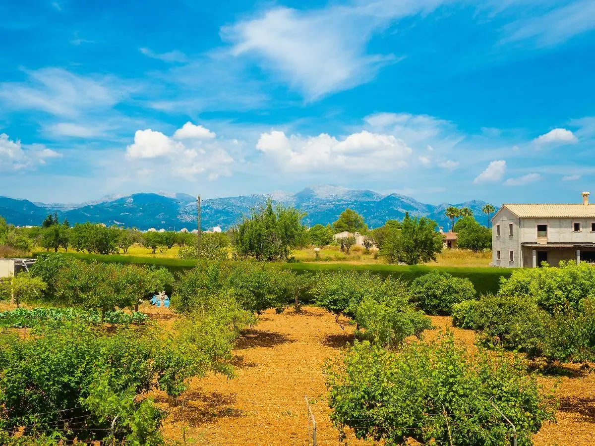 Can Pascolet Inca  0*, Inca (Mallorca)